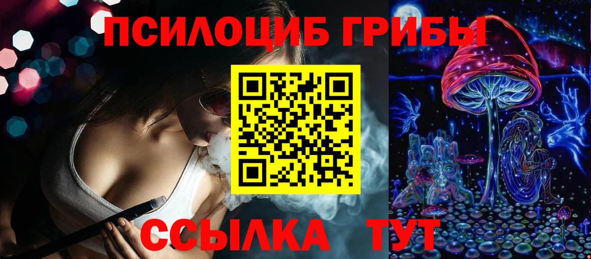 Галлюциногенные грибы мухоморы  Псилоцибиновые грибы мухоморы  продажа наркотиков  Вход с VPN  Гусь-Хрустальный 