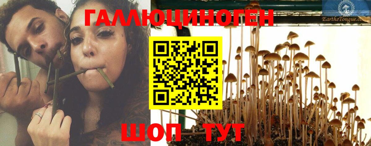 Галлюциногенные грибы GOLDEN TEACHER Гусь-Хрустальный